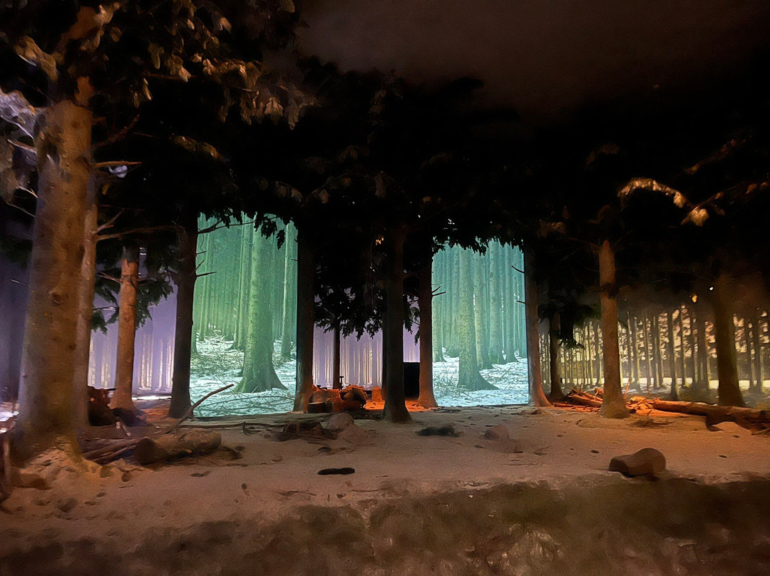 Bastogne War Museum-巴斯东必去景点