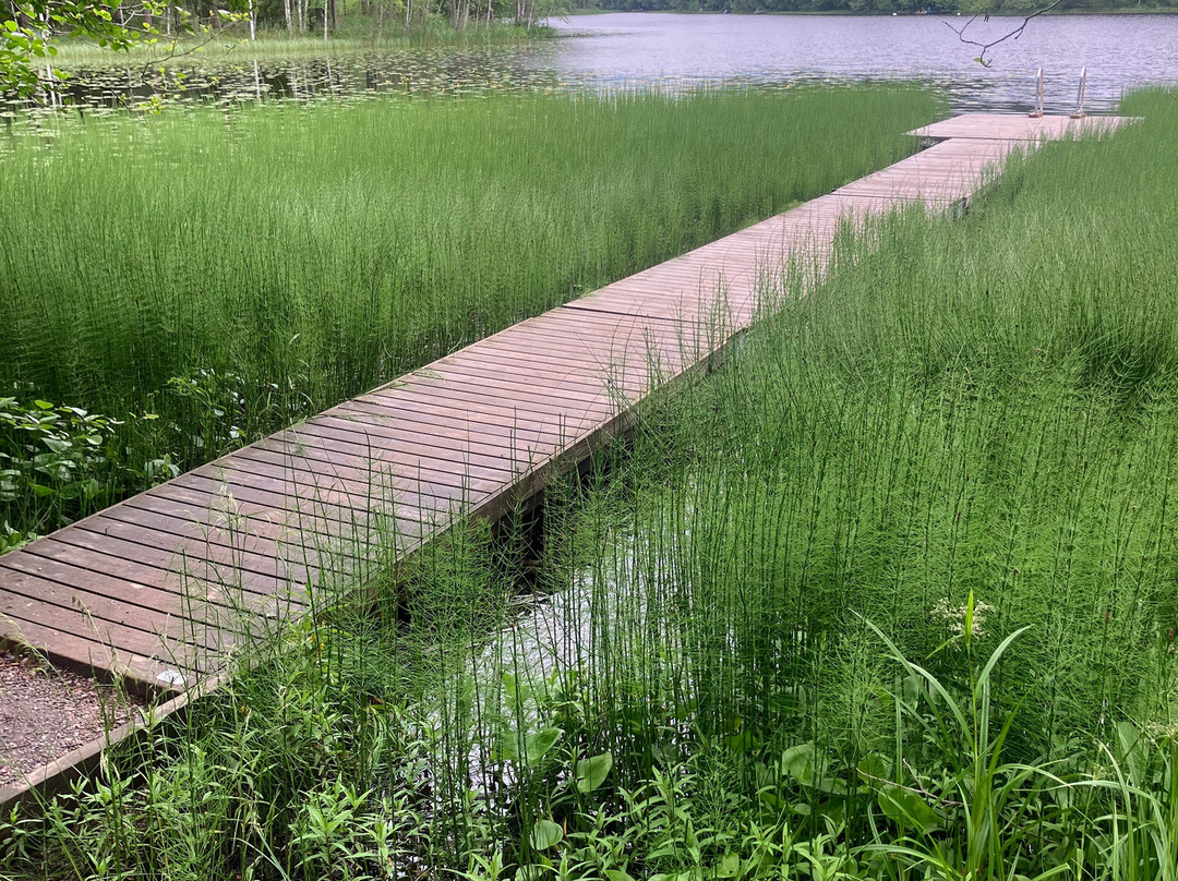 Nuuksio Reindeer Park-埃斯波必去景点