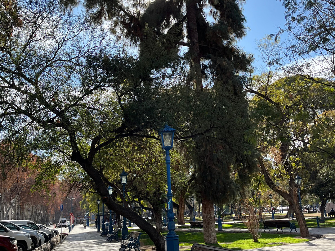 Tours For Tips in Mendoza-门多萨必去景点