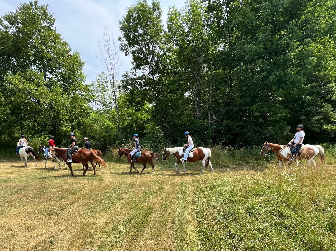 Horsin Around Riding Ranch-Marmora必去景点