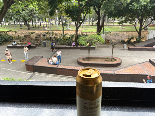 Jacaranda By Markiño