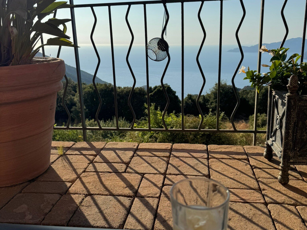 Hotel Les Roches Rouges主图