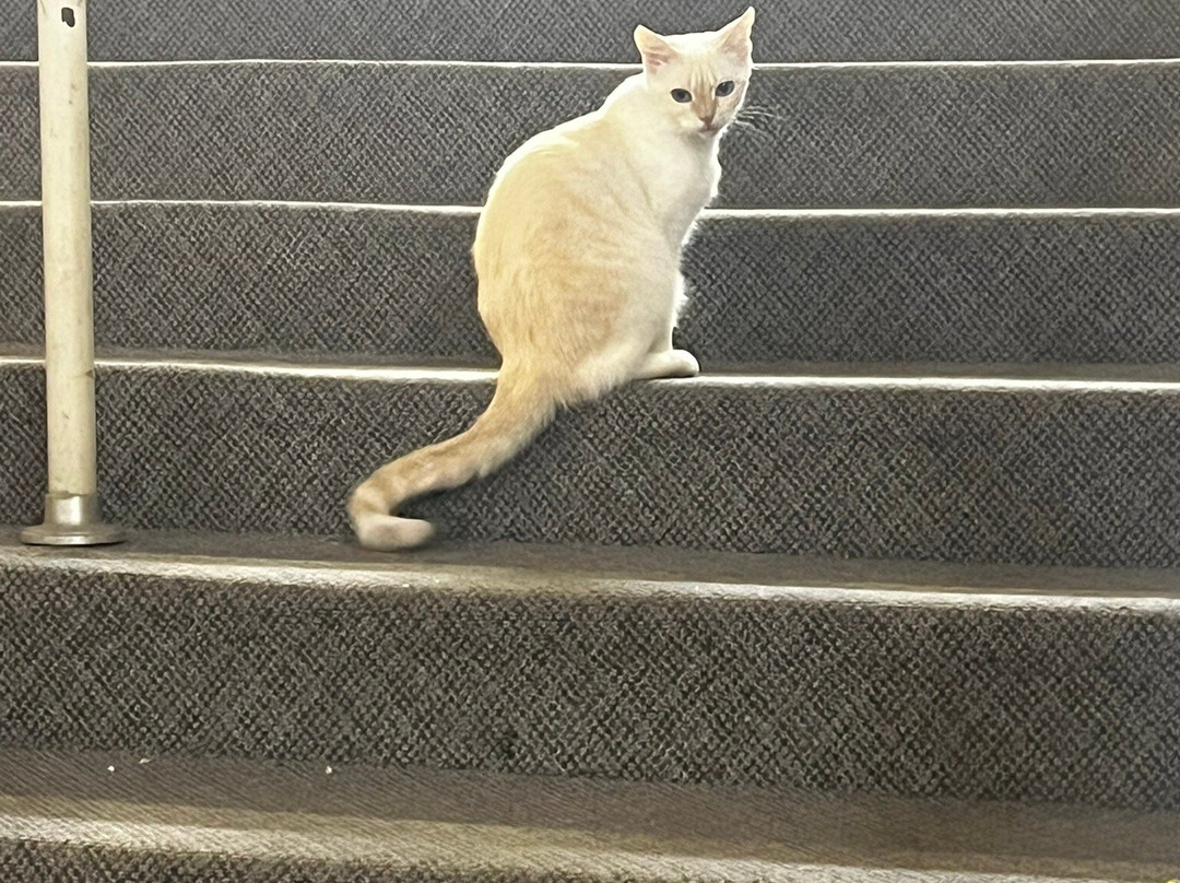 Ardmore Regional Park-Ardmore必去景点