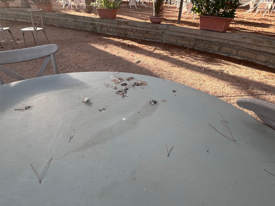 Hotel Fontermosa主图