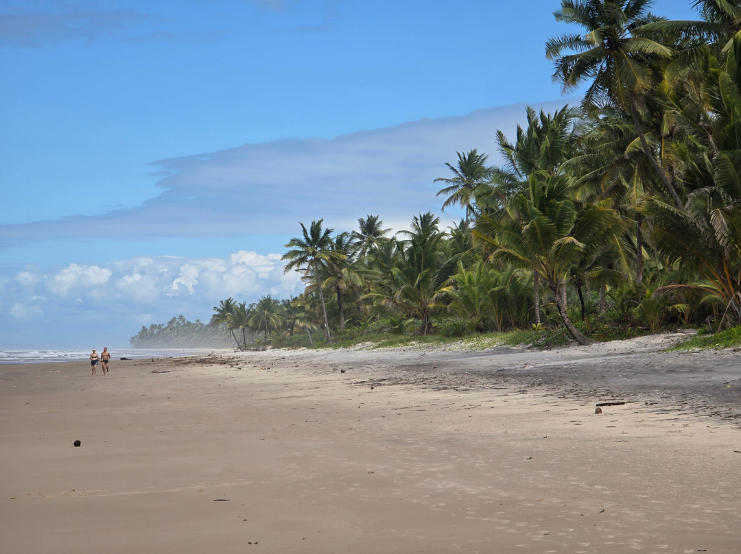 Trilha das Quatro Praias-Itacare必去景点