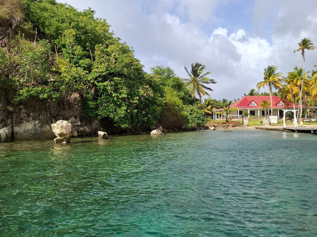 Mawaly Excursions-Terre-de-Haut必去景点