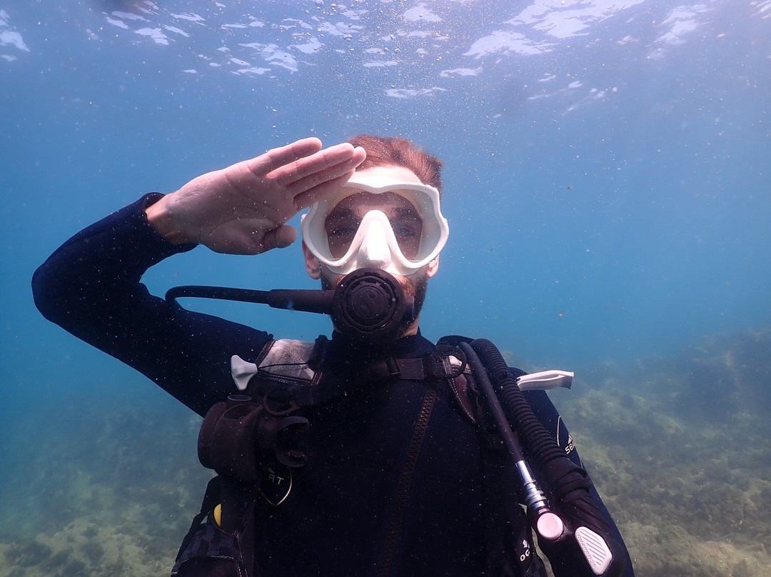 Diver Bees Dive Center-库萨达斯必去景点