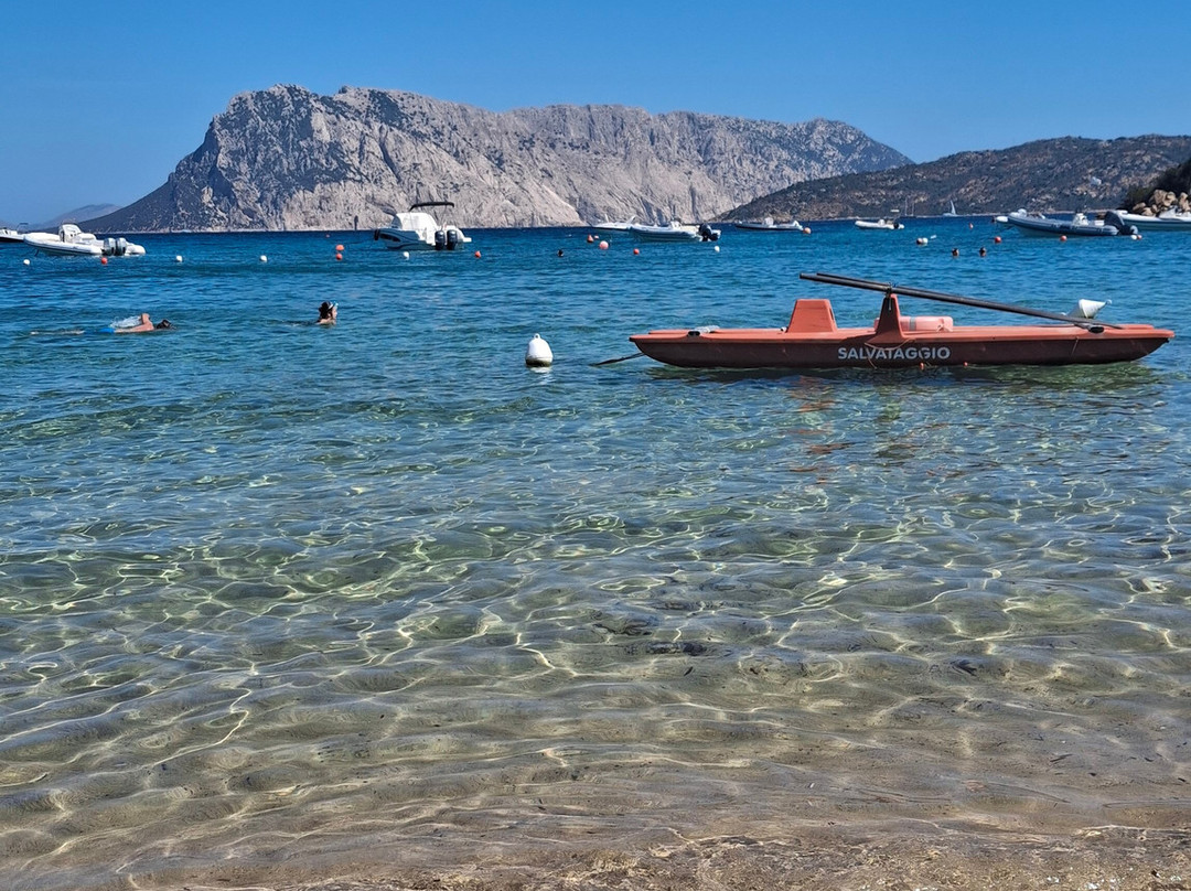 Le Farfalle - Cala Suaraccia Beach-San Teodoro必去景点