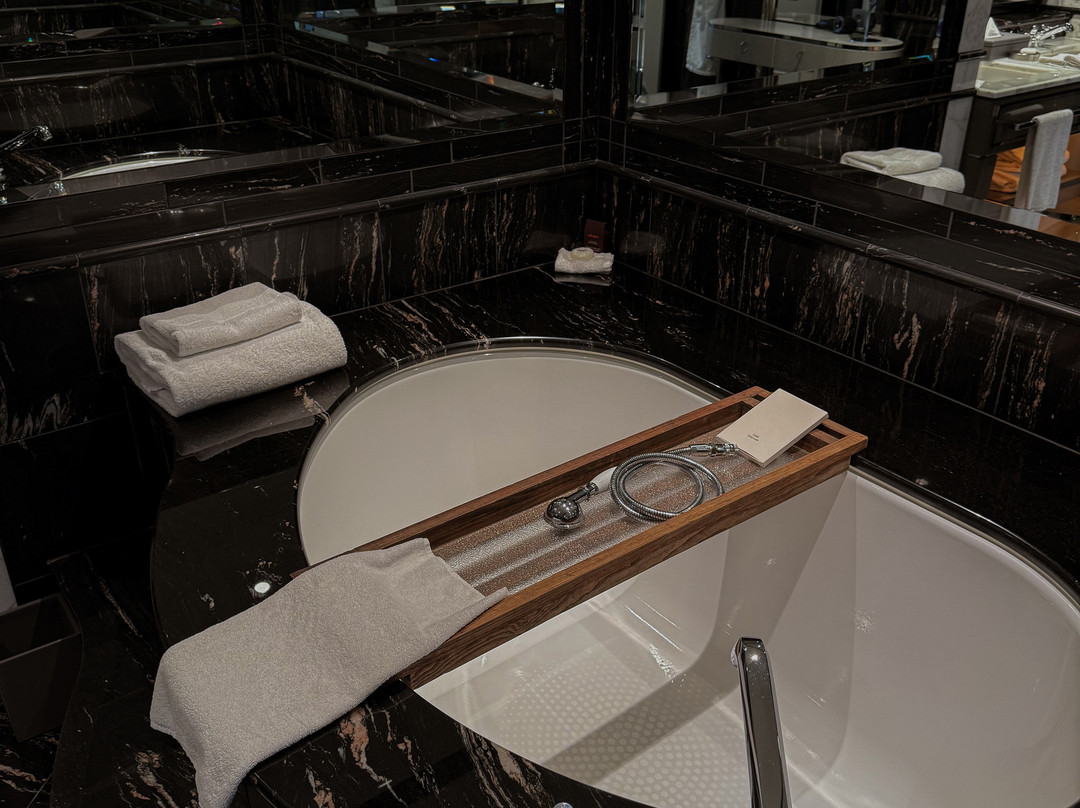 柏灵丽思卡尔顿酒店主图