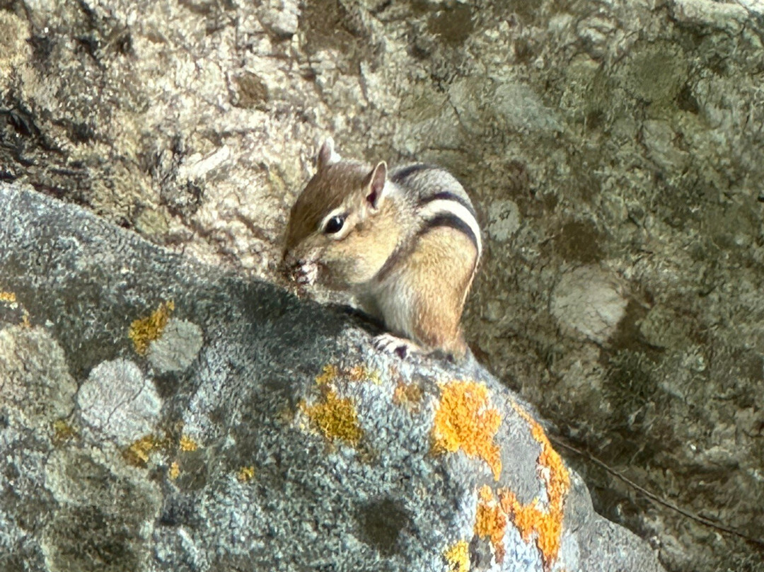 Curtis Island Light-卡姆登必去景点