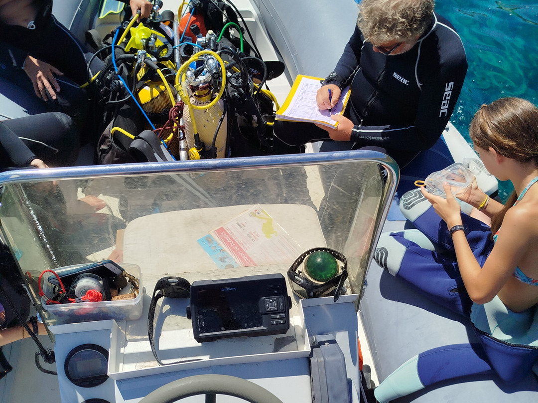 Calypso Marine-Brando City必去景点