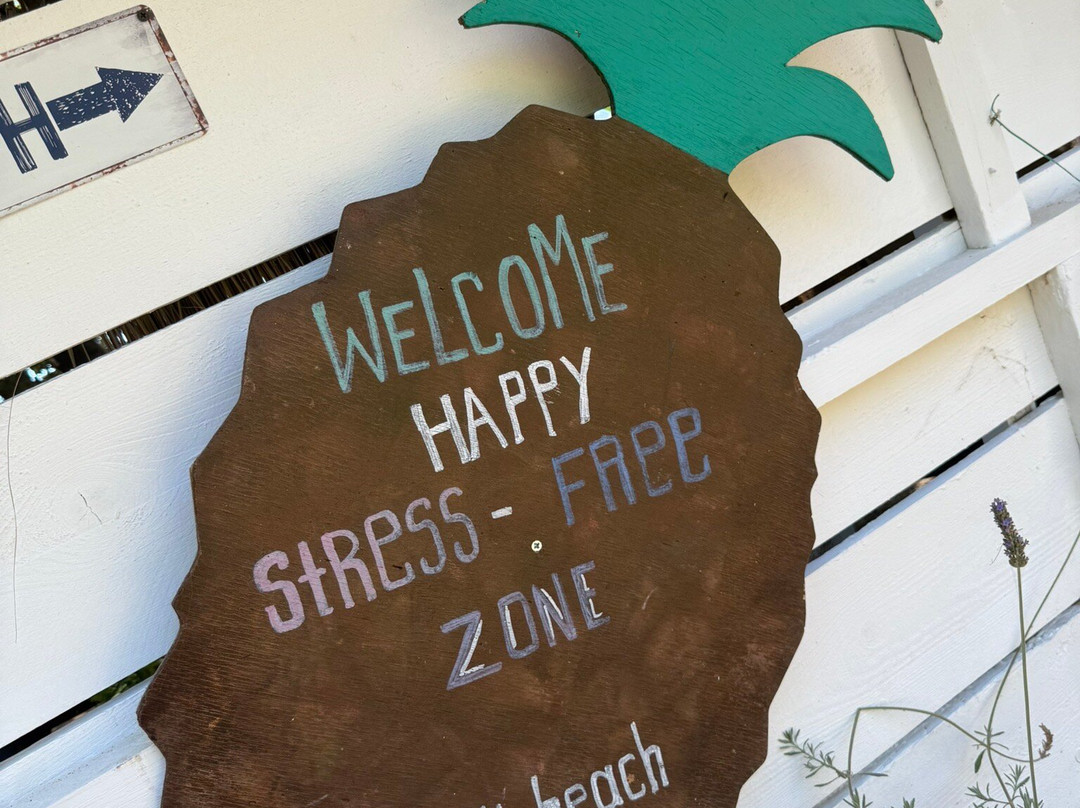 Diamandi Beach-斯亚索斯必去景点