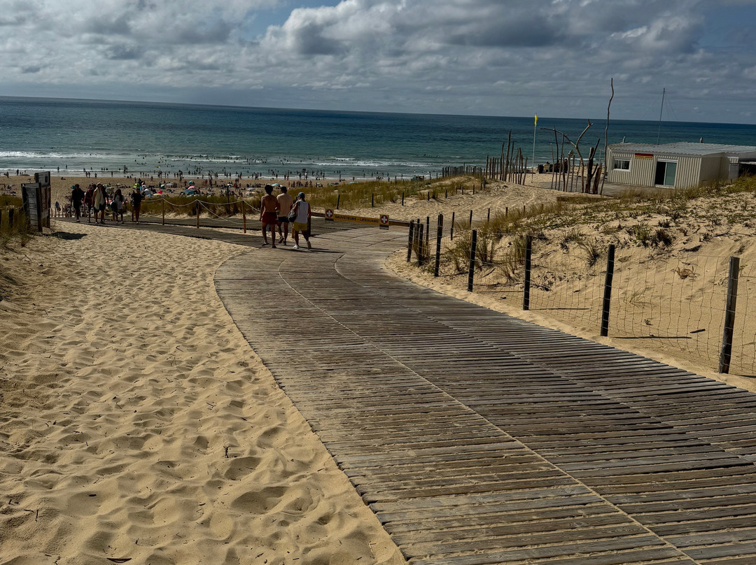 Plage Truc Vert-莱格卡弗尔雷必去景点