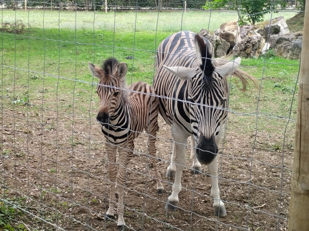 Parc de l'Auxois-Arnay-sous-Vitteaux必去景点