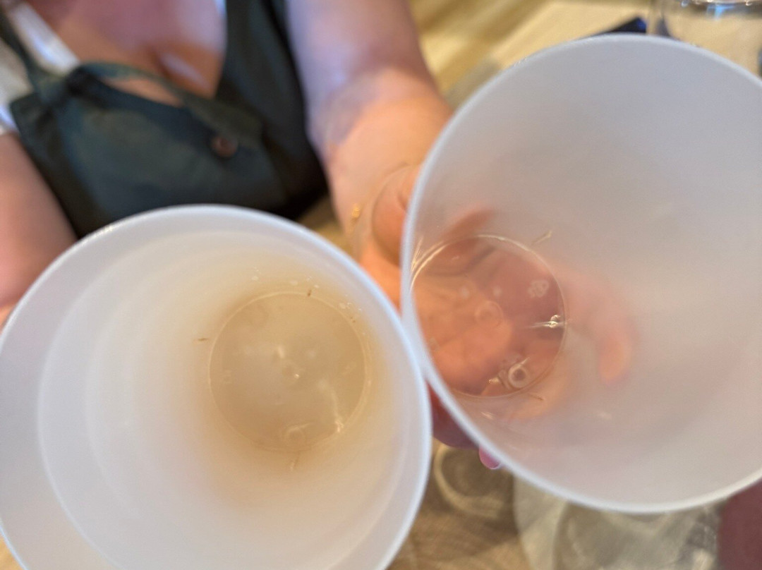 All Pizza and Pasta, Boé