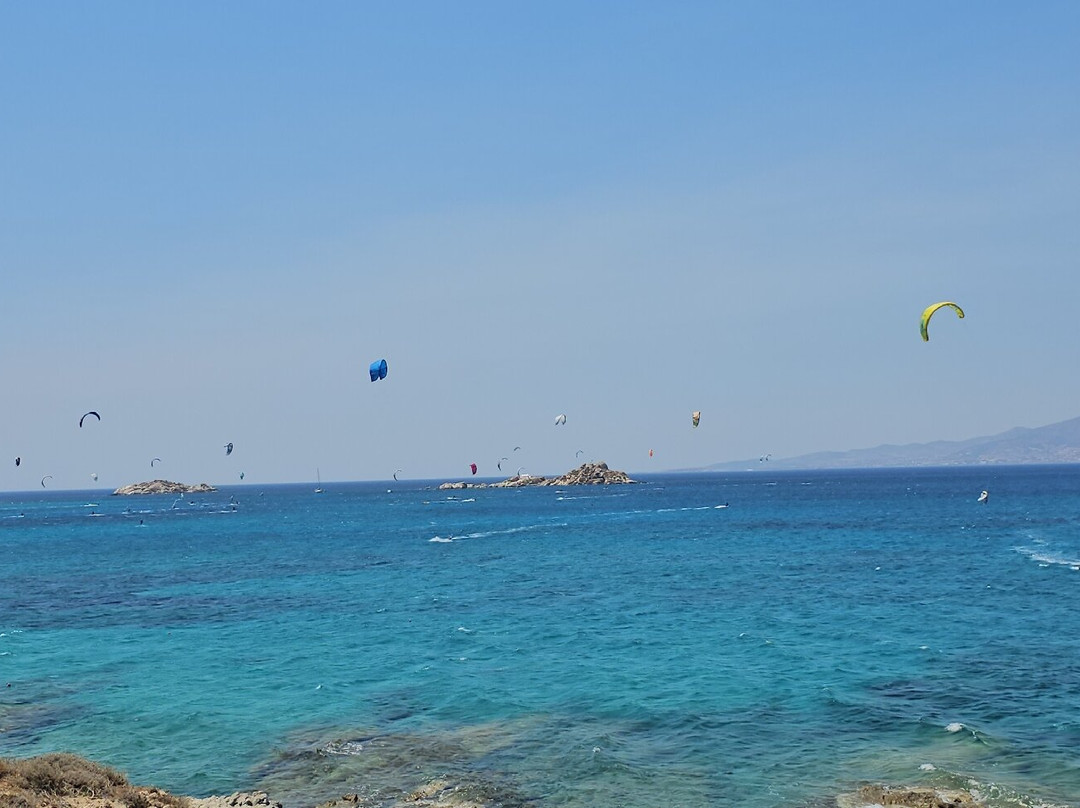 Cedar Forest of Alyko-纳克索斯岛必去景点