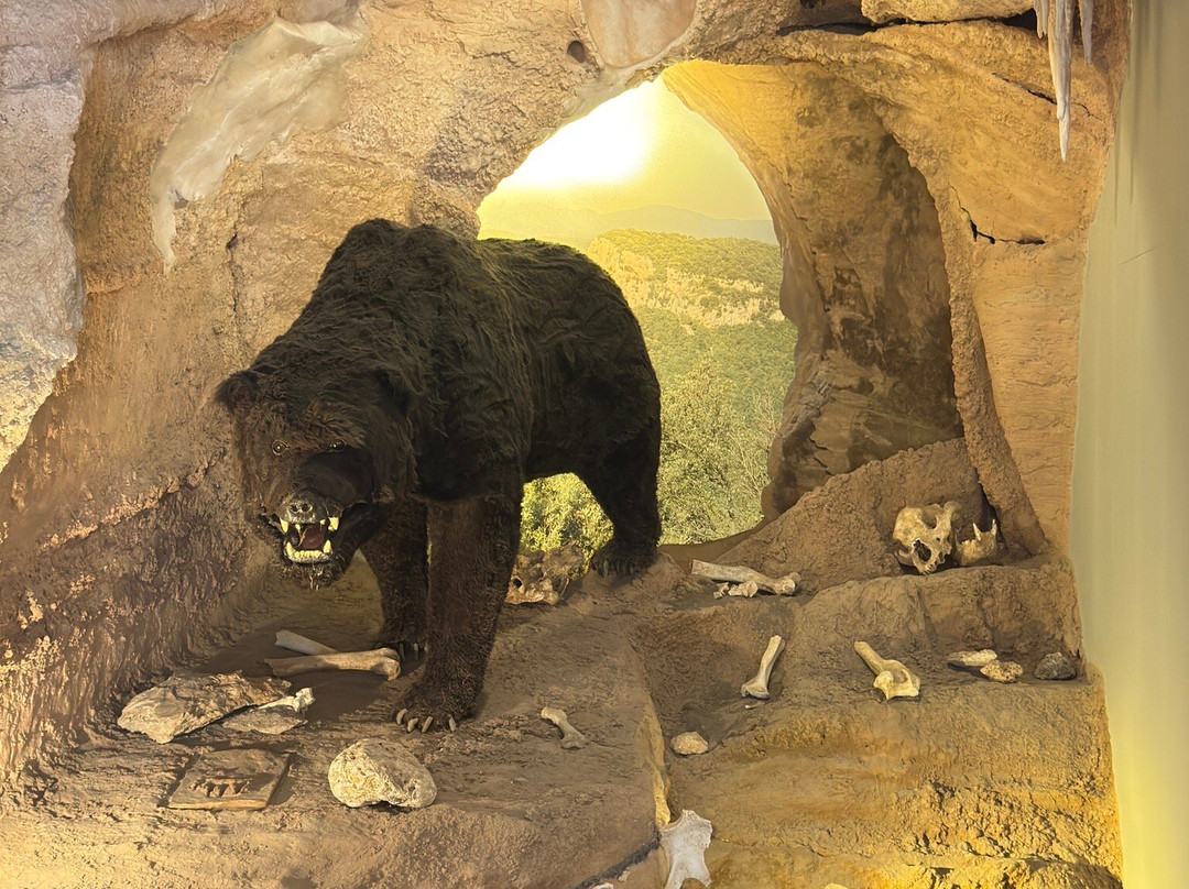 Museo Archeologico del Finale - Convento di Santa Caterina-菲纳莱利古雷必去景点