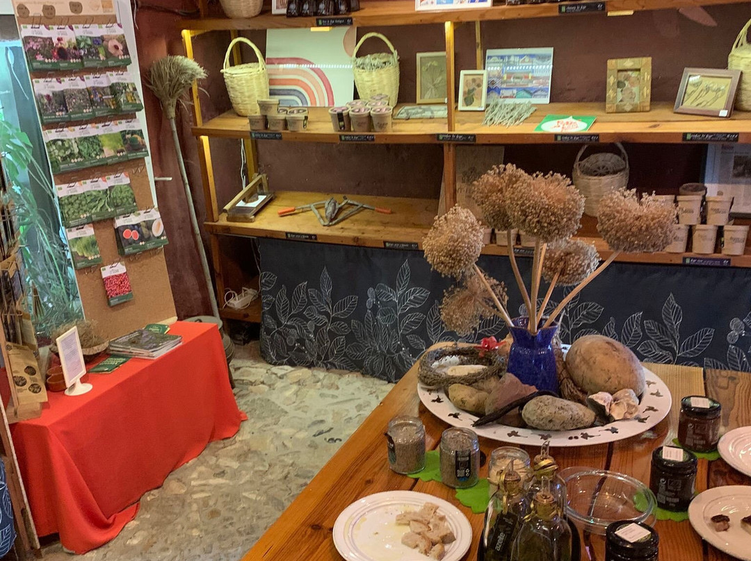 Riosultravel Tours-Vila Real de Santo Antonio必去景点