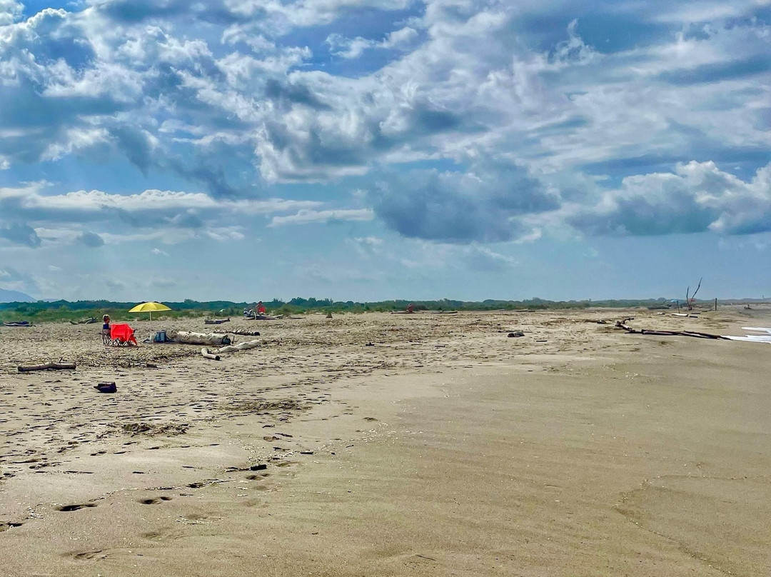 Spiaggia Della Lecciona-维亚雷焦必去景点