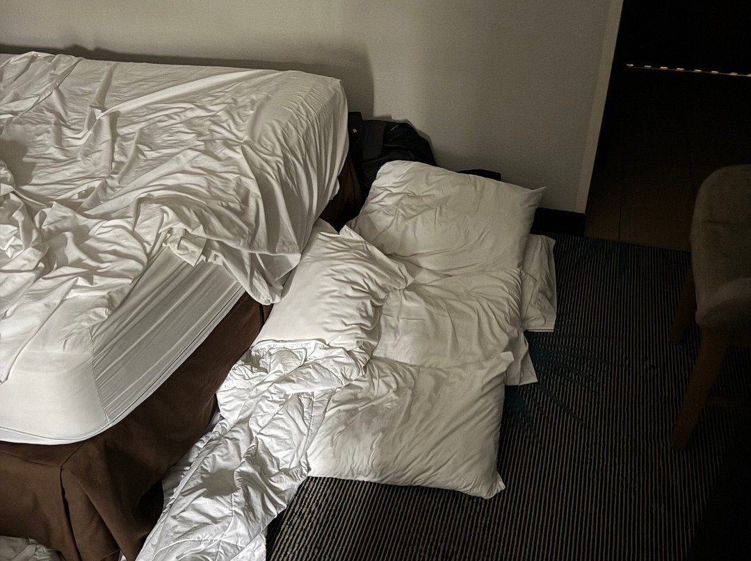 Days Inn by Wyndham Petoskey主图