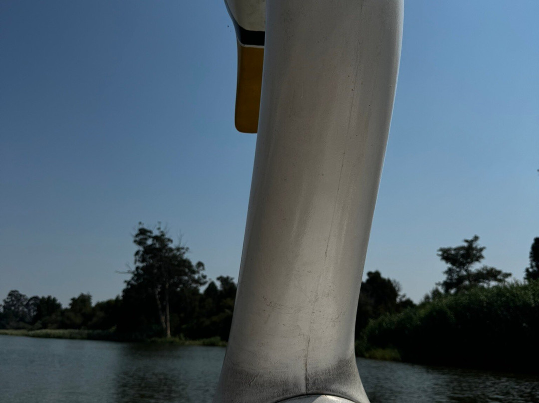 Hotel Quinta da Lagoa主图