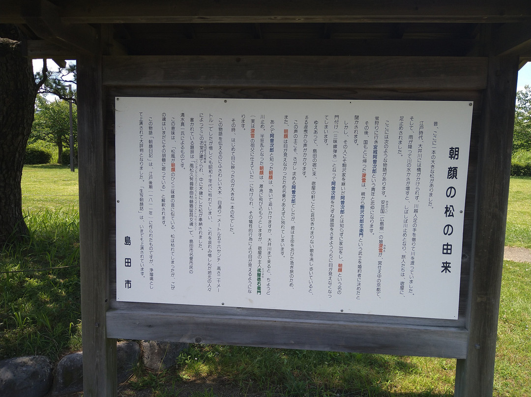 Asagao no Matsu Park-岛田市必去景点