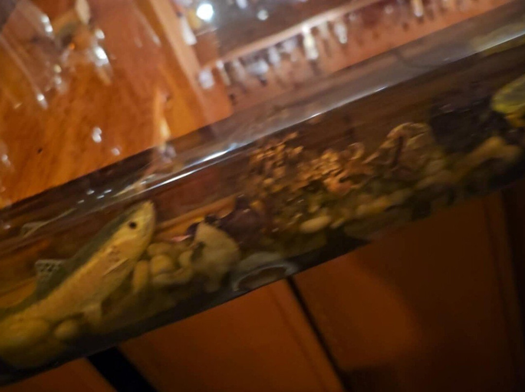 Damascus Old Mill Inn主图