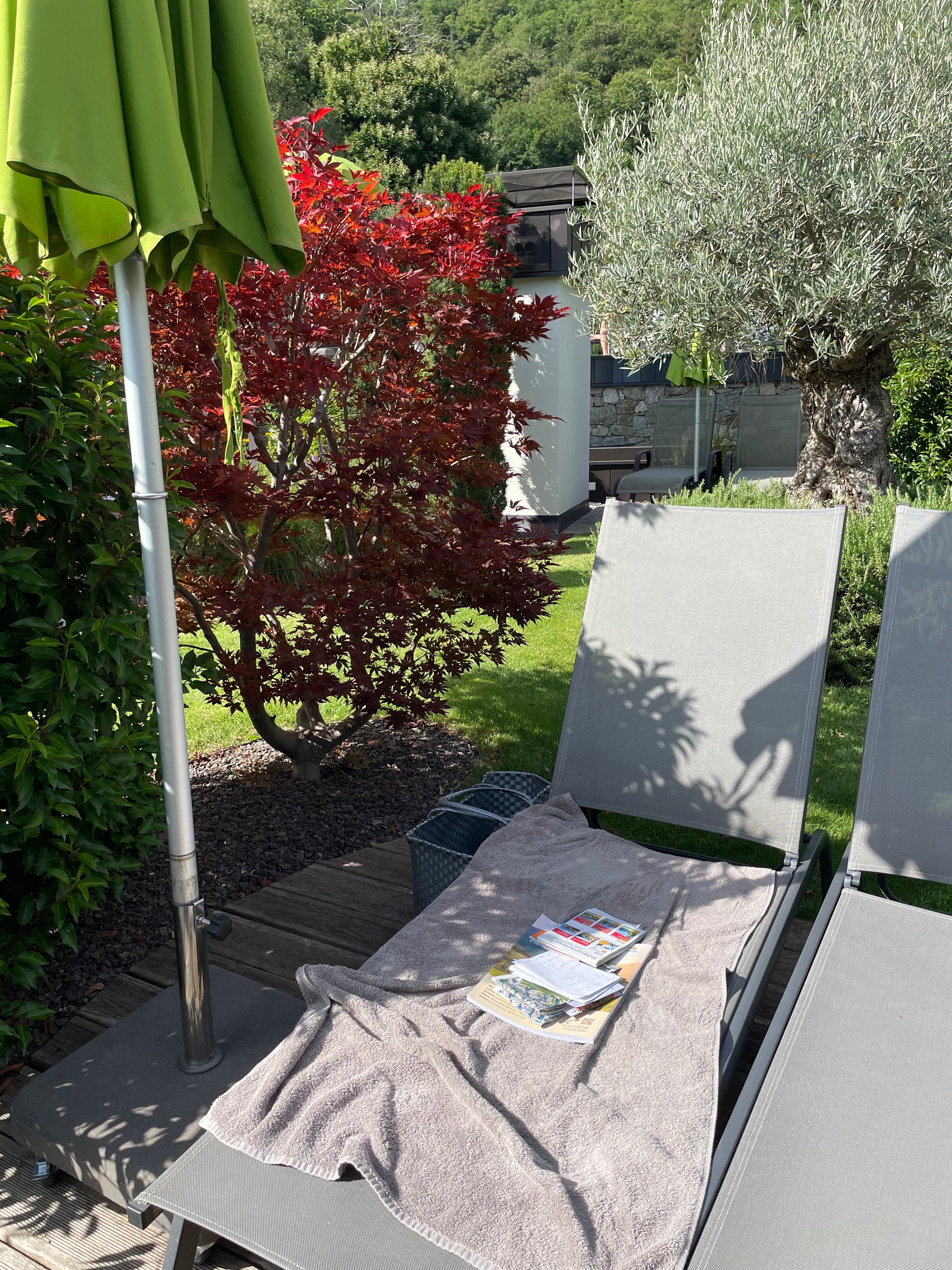 Panorama Hotel Himmelreich-泳池