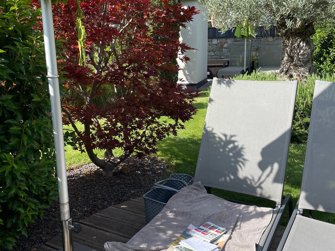 Panorama Hotel Himmelreich主图