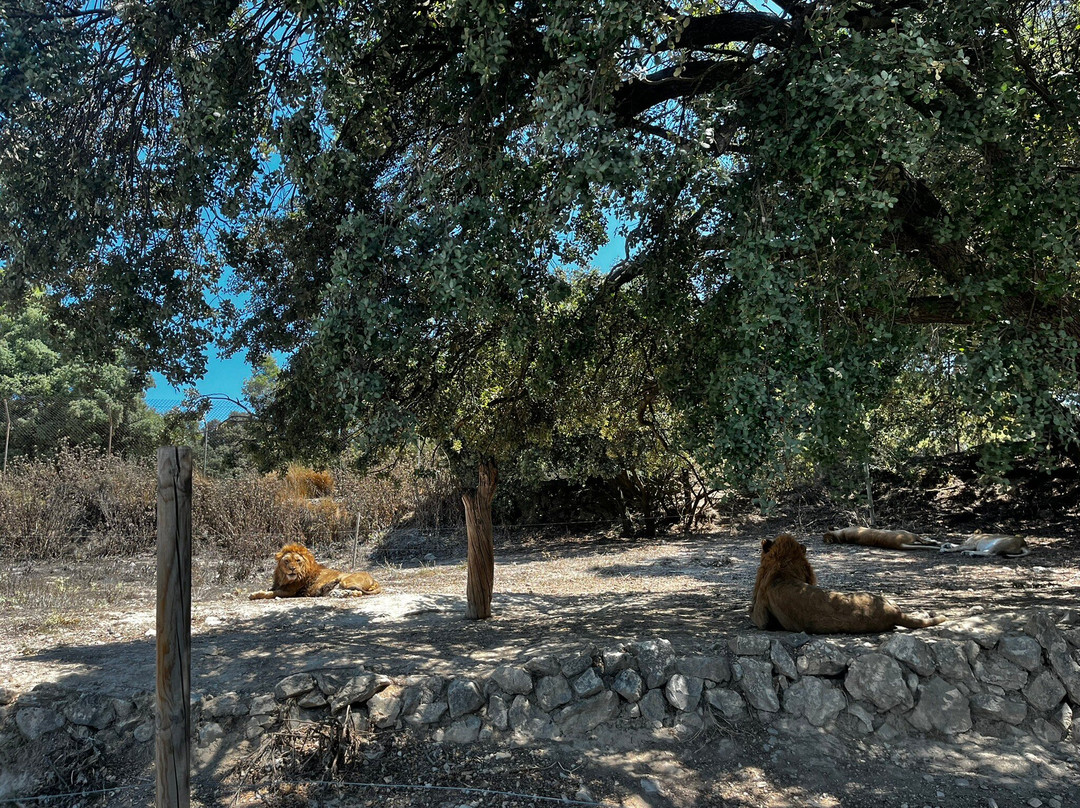 Safari Aitana-Penaguila必去景点