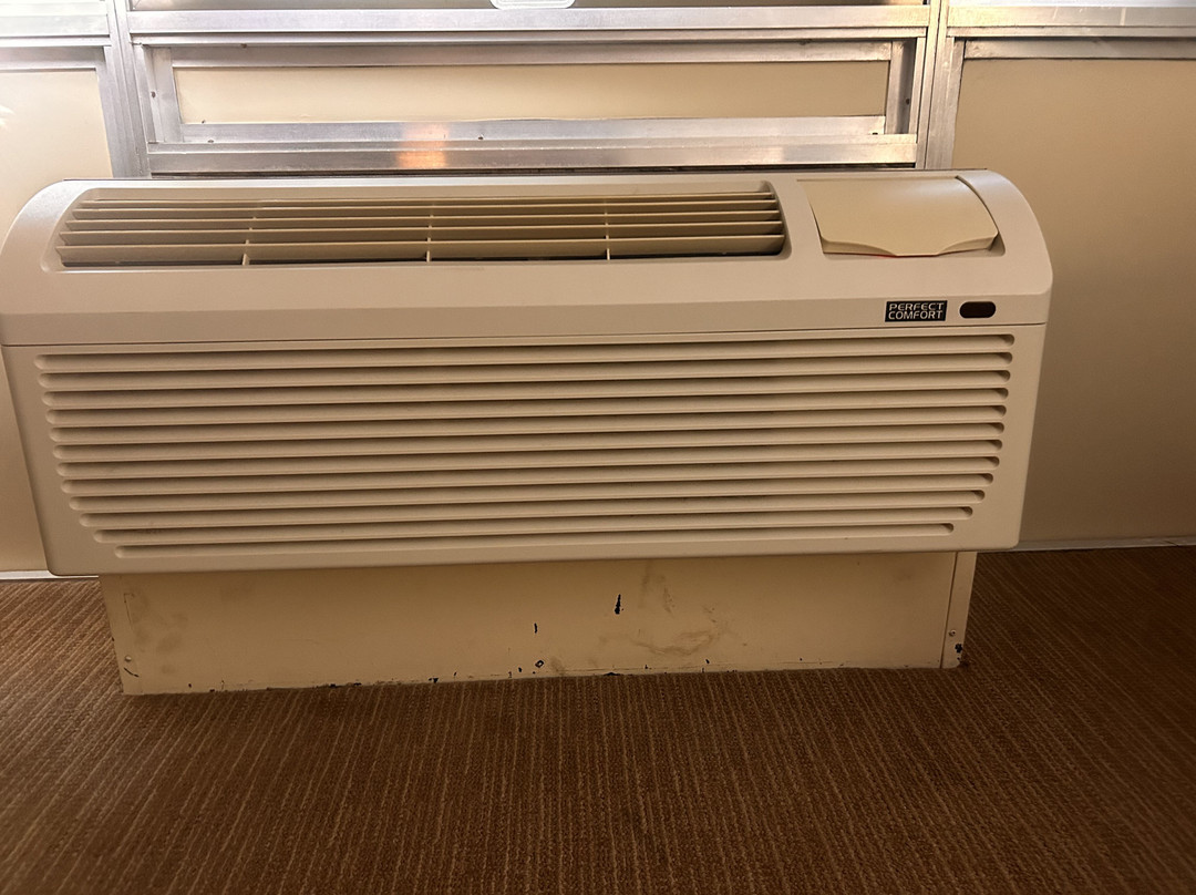 Travelodge by Wyndham Sydney主图