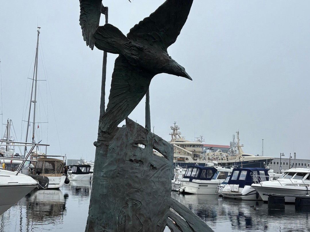 Isleborn Tours-Vestmanna必去景点