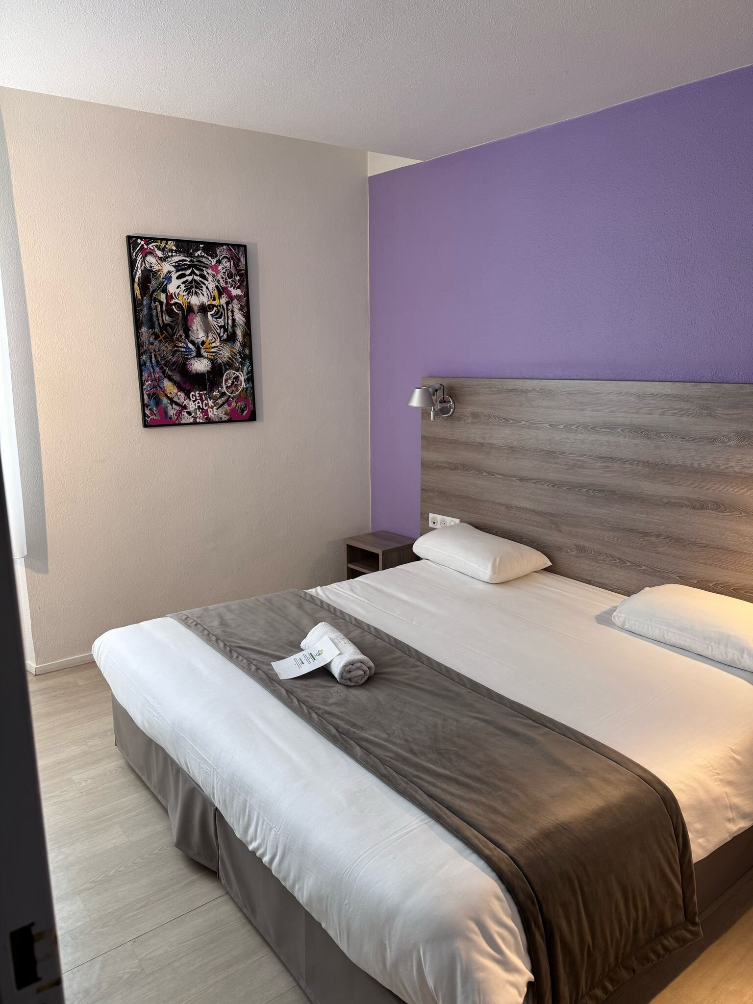 Brit Hotel Nevers Centre Gare-客卧