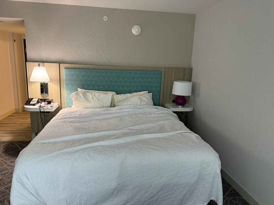 Hampton Inn By Hilton Norwich主图