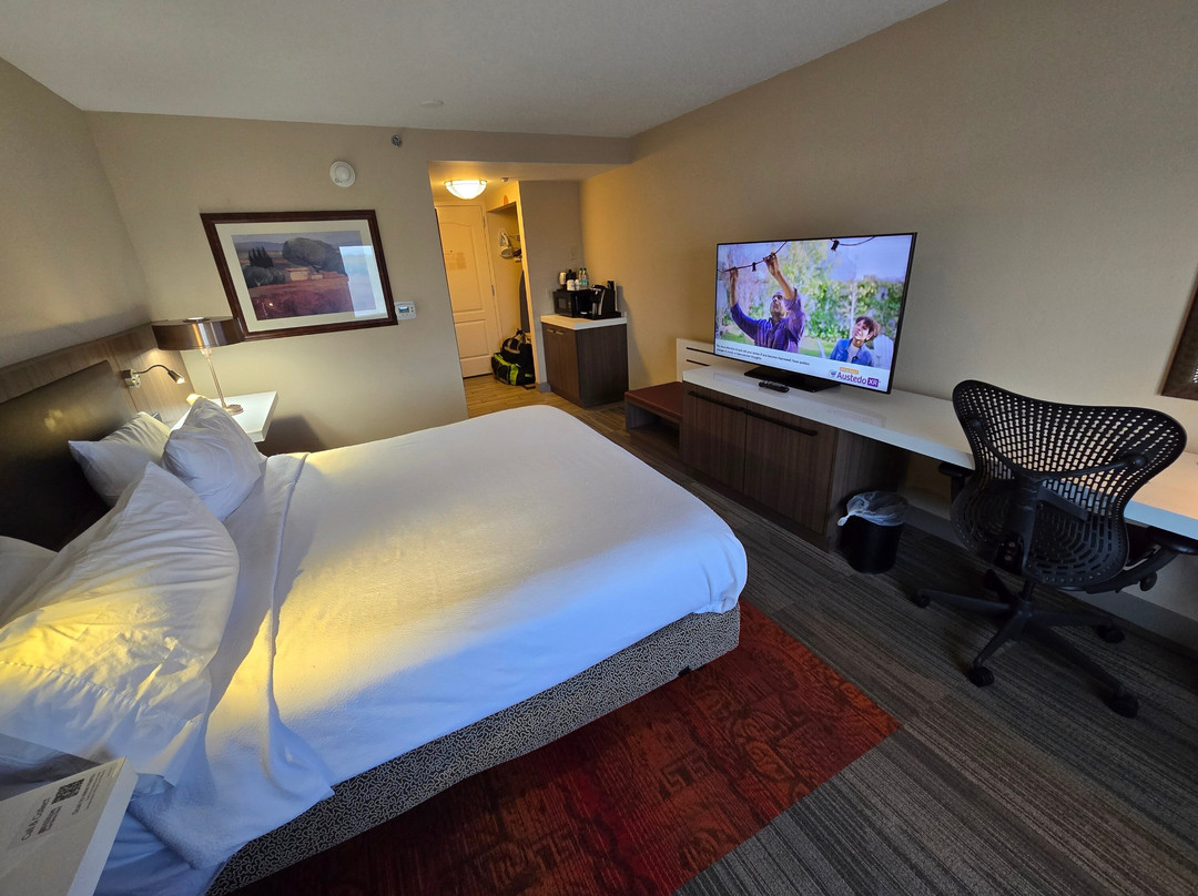 Hilton Garden Inn Florence主图