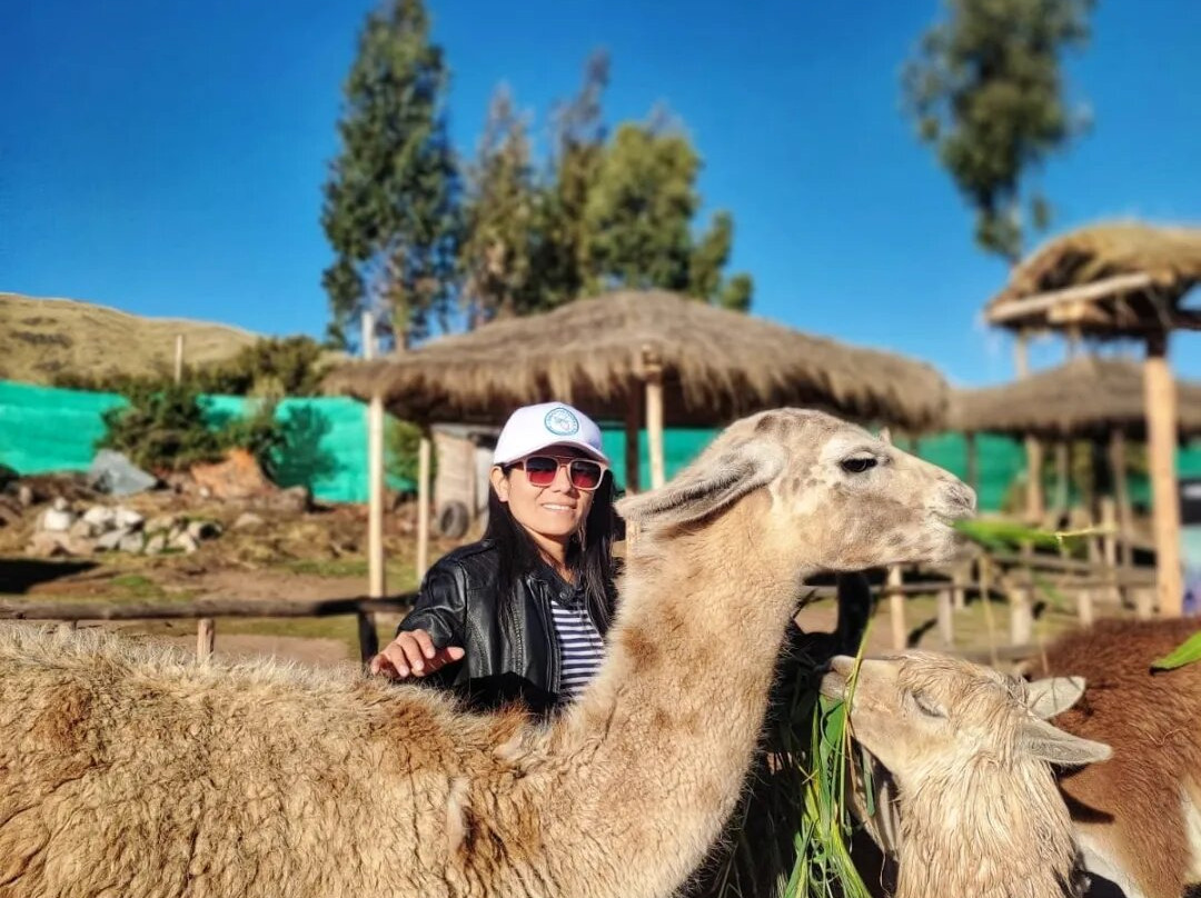 Executive Tours Peru-利马必去景点