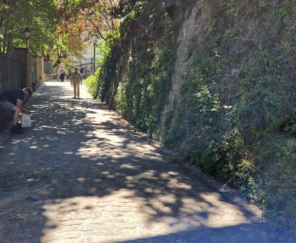 Wenzel Circular Walk-卢森堡城必去景点