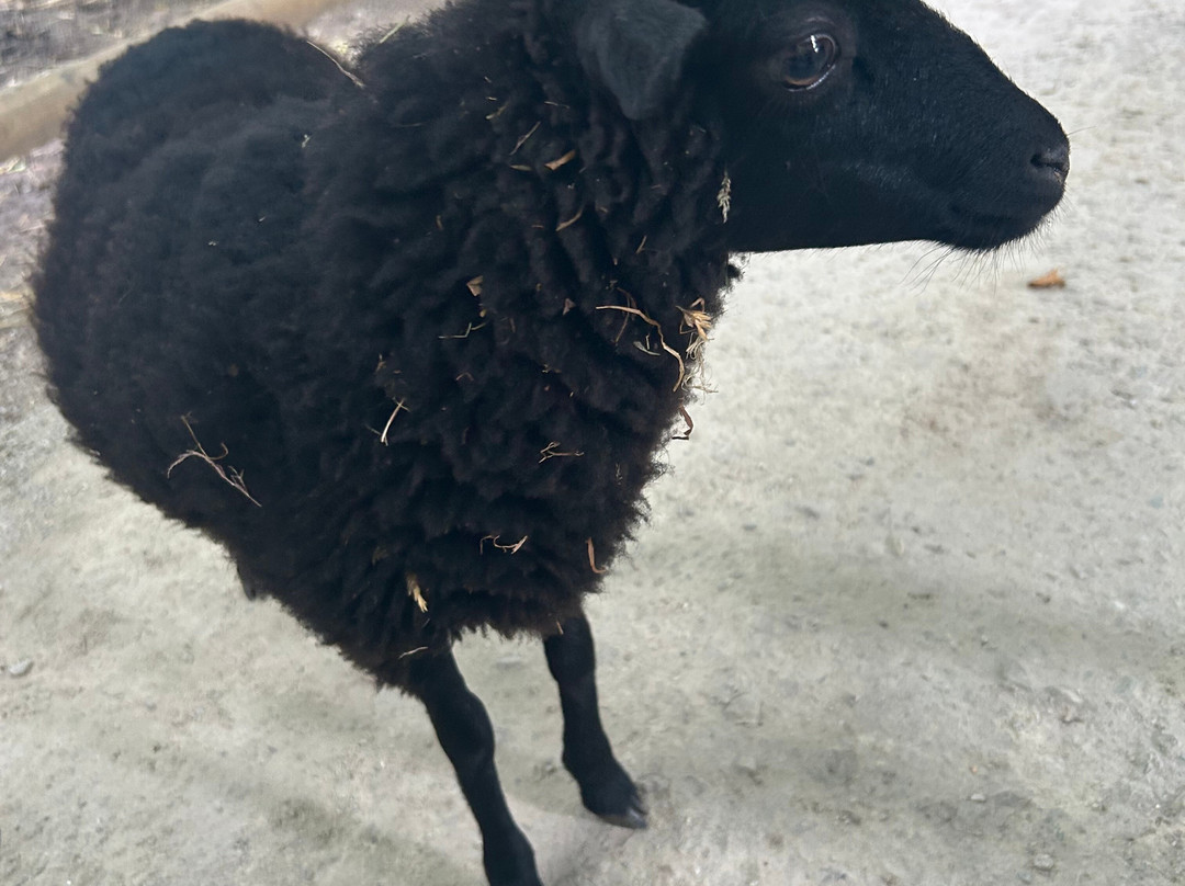 Malowe Nature-Rosay必去景点