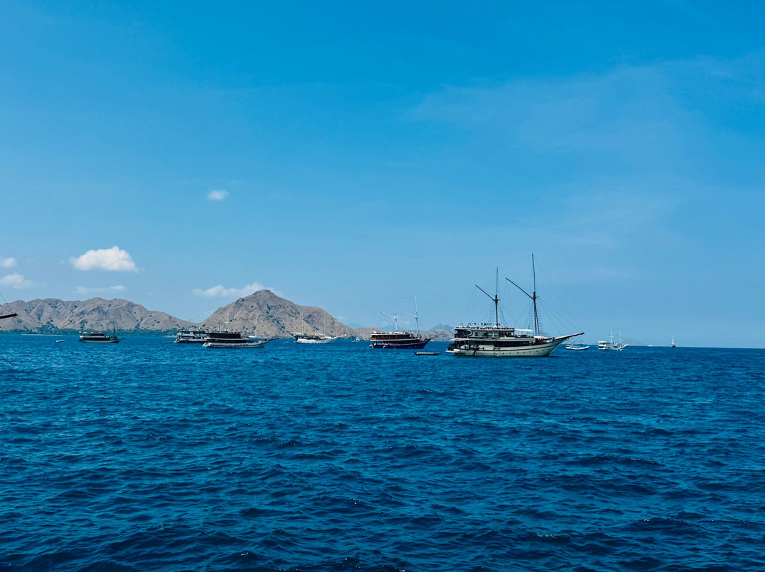 Komodo local tour-科莫多必去景点