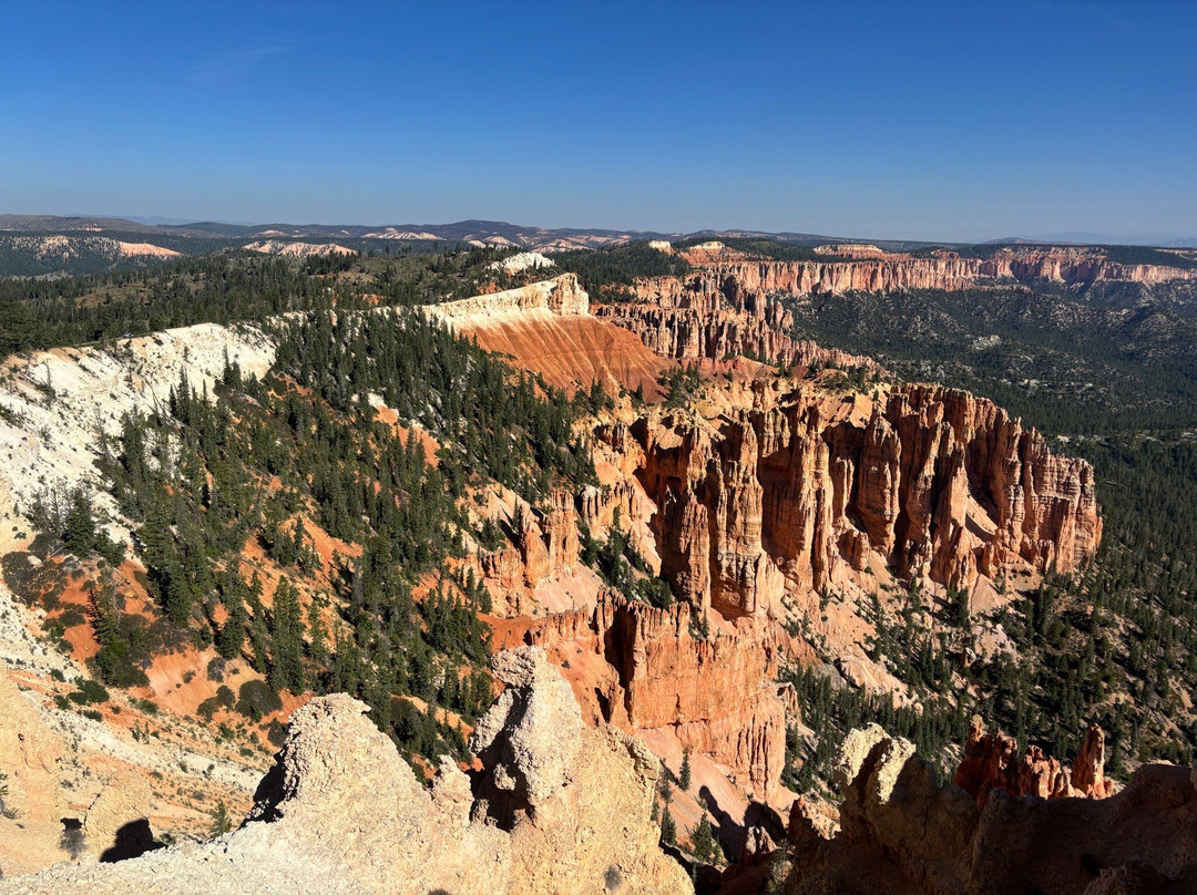 Rainbow Point-布莱斯峡谷国家公园必去景点
