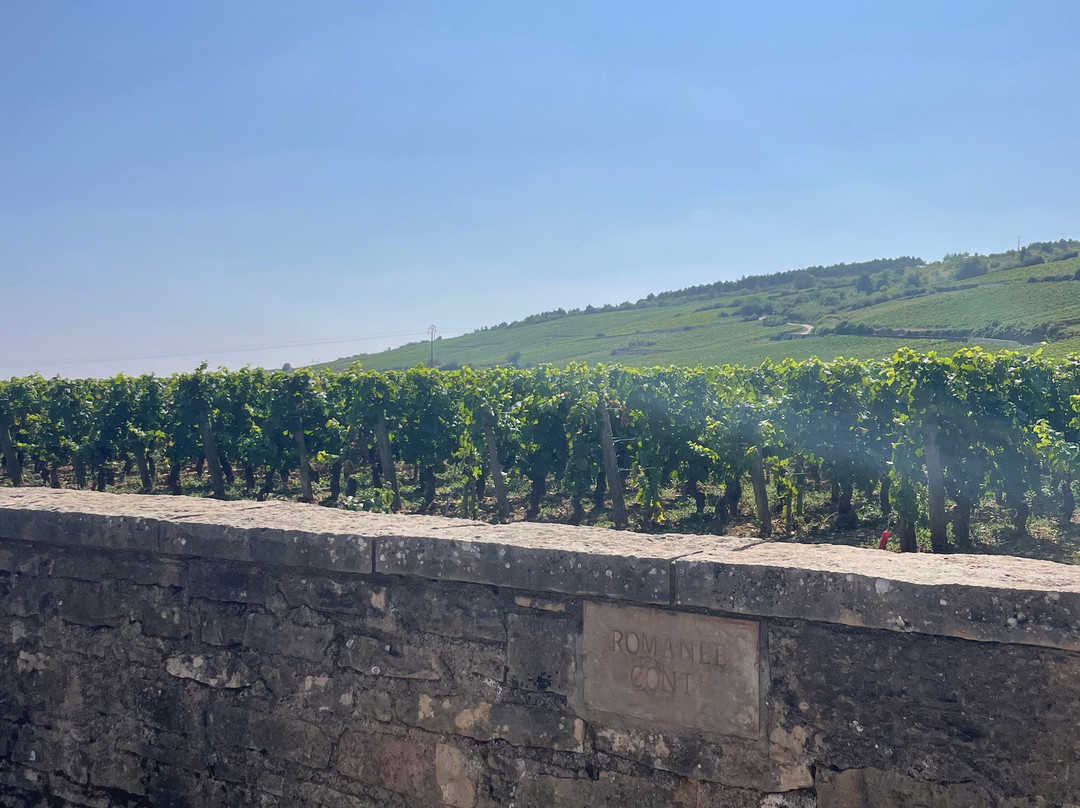 Chemins de Bourgogne-第戎必去景点