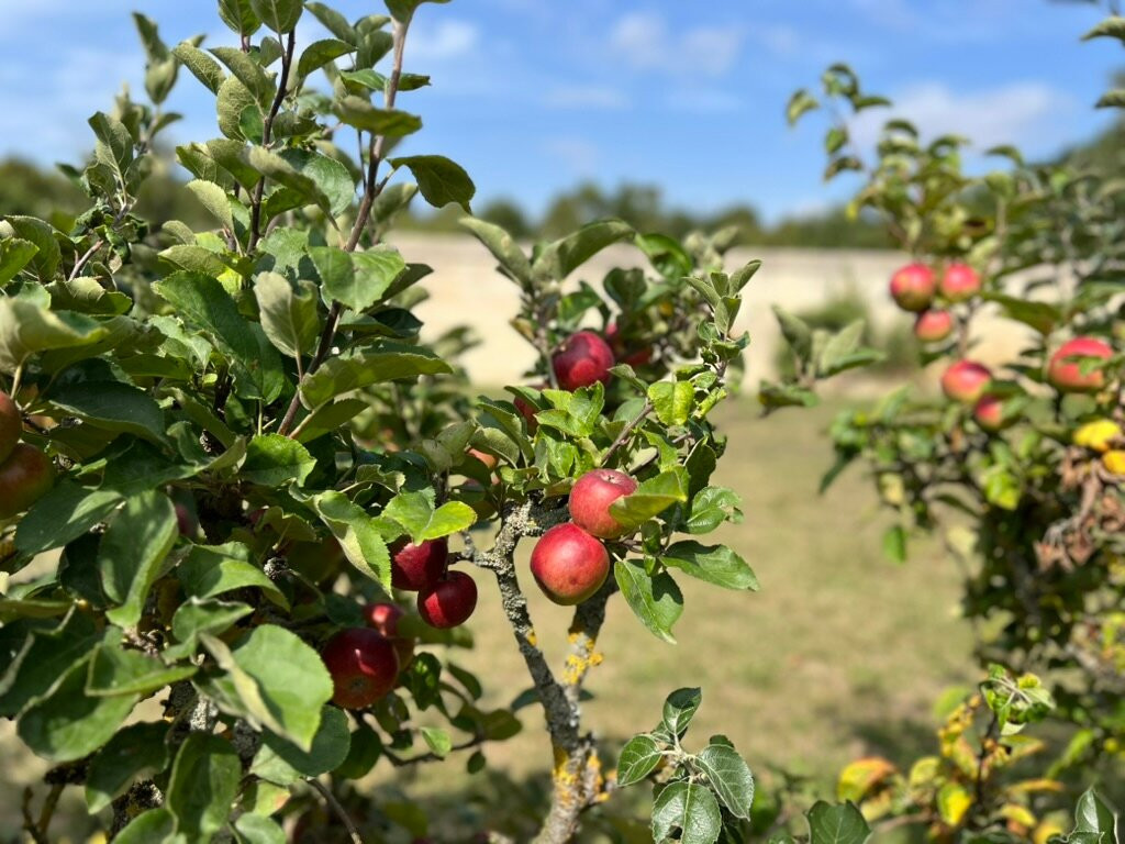 Jardins du Chateau de Canon-Mezidon-Canon必去景点
