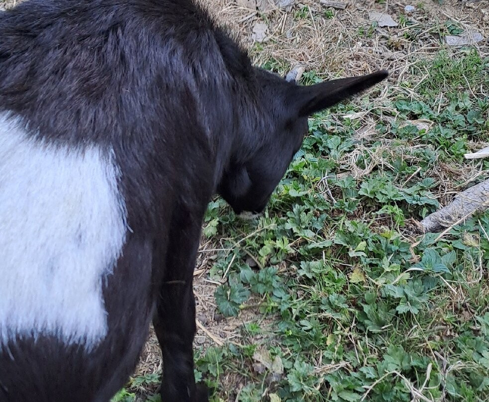 Parc de Pierre Brune-Mervent必去景点