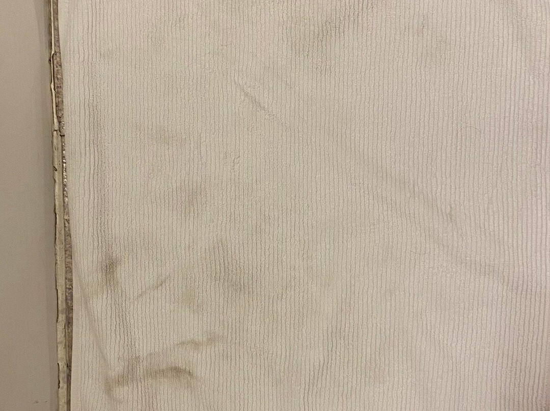 Cactus Tree Inn主图