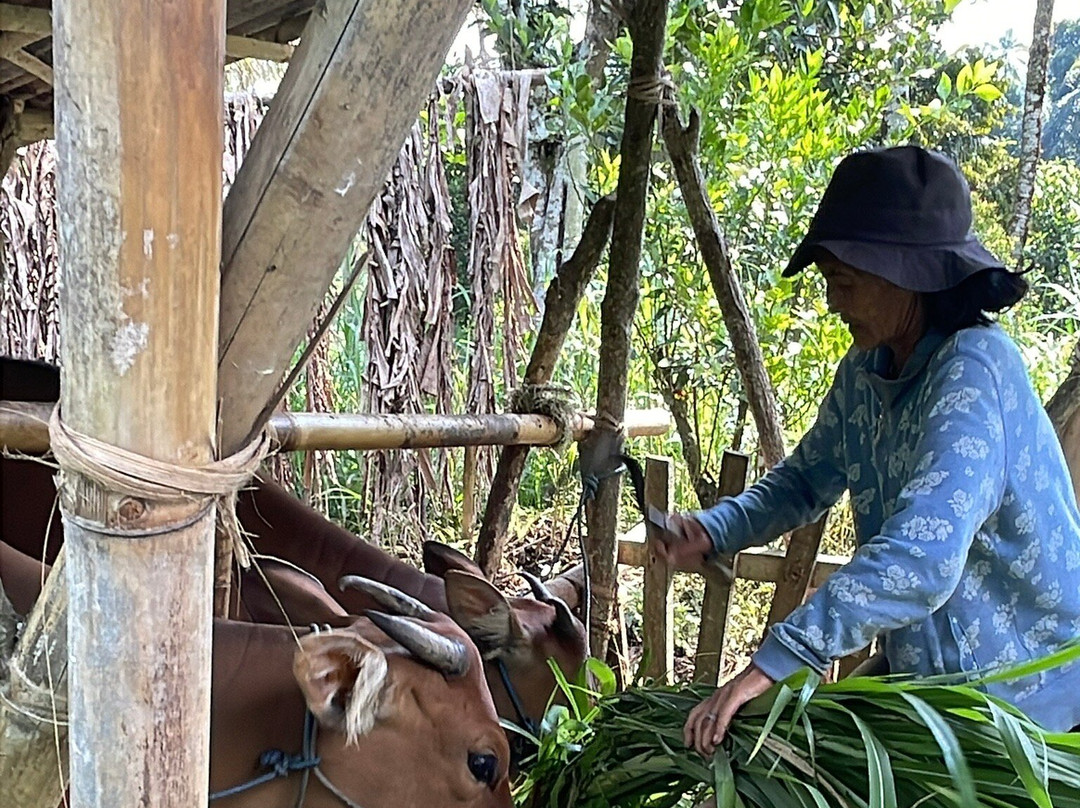 Bali Bike Adventures-乌布必去景点