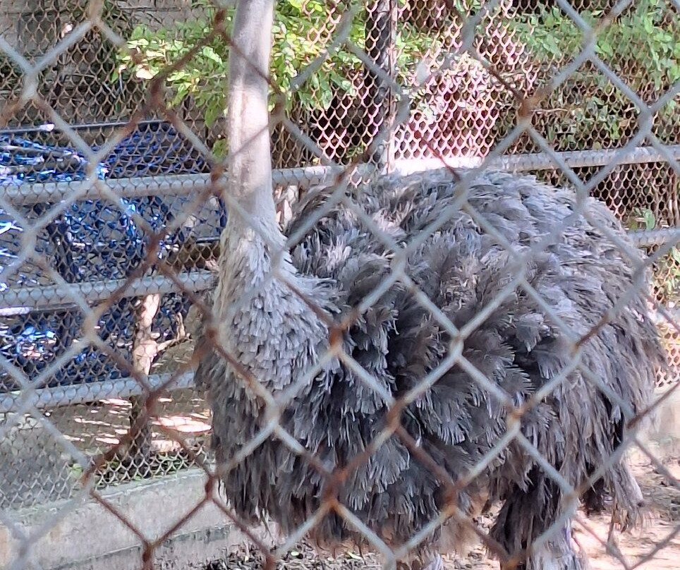 Zoológico De Barranquilla-Barranquilla必去景点