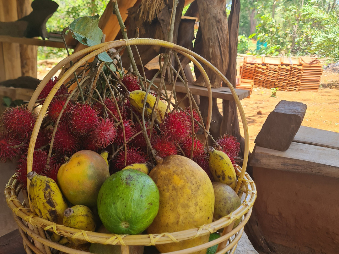 Etili Village Experience-埃勒必去景点