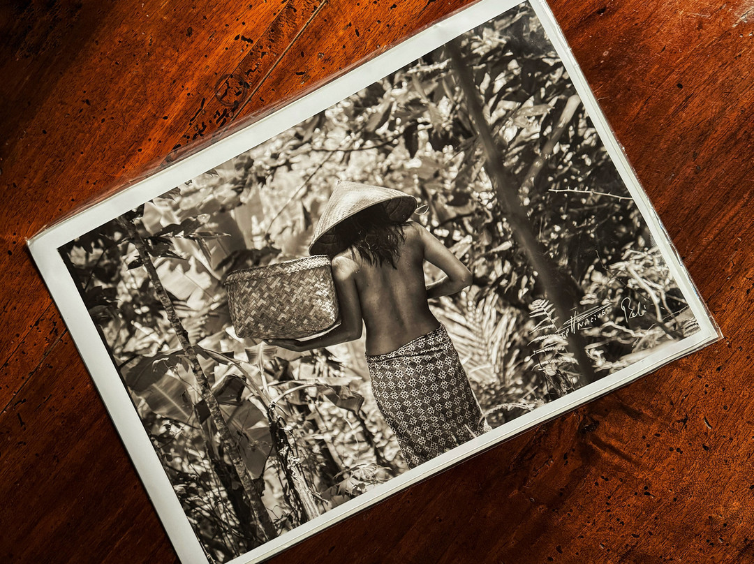 Nacivet Art Gallery Seminyak-水明漾必去景点