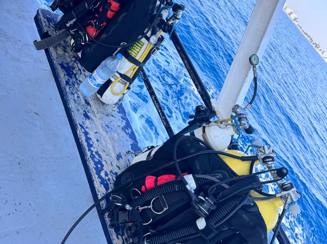 Coral Bay Divers-帕福斯必去景点