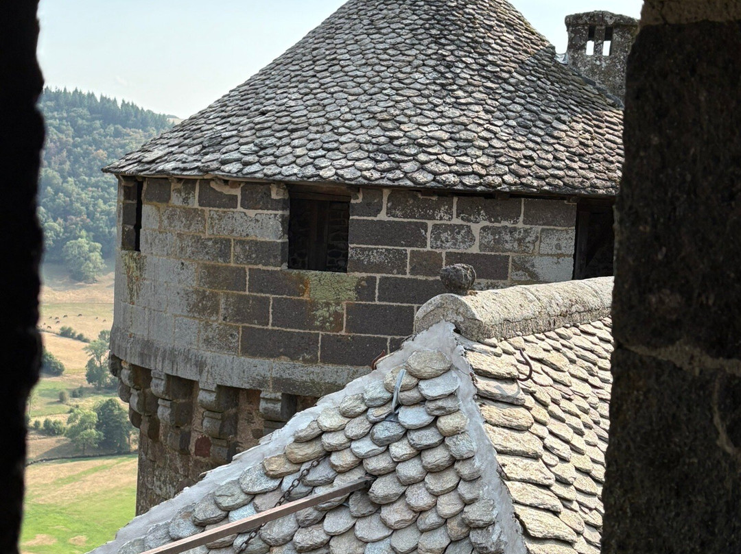 Chateau d'Anjony-Tournemire必去景点